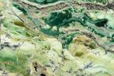 Polished Green-White Opal Slab - Western Australia #132922-1